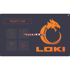 LOKI TESLA diagnostics.