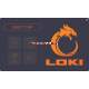 LOKI TESLA diagnostics.